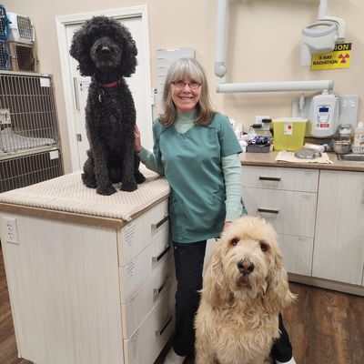 Dr. Meg Lainson